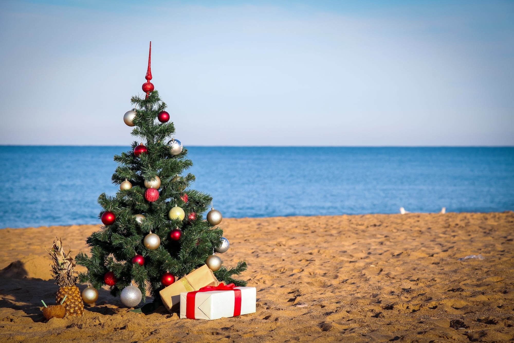Christmas Tree on Beach